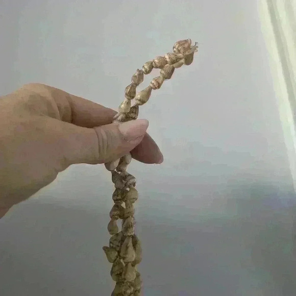 Set of 2 shell hangers for plant pots - Picture 14 of 14